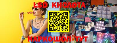 гашик Новозыбков