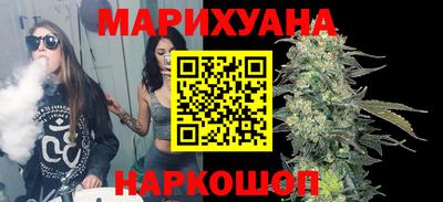 гашик Новозыбков