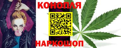 гашик Новозыбков