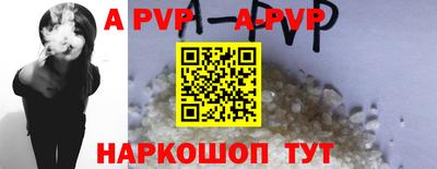 гашик Новозыбков