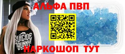 гашик Новозыбков
