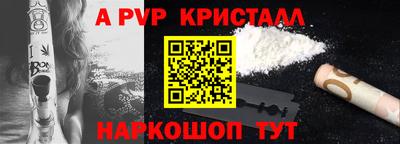 гашик Новозыбков