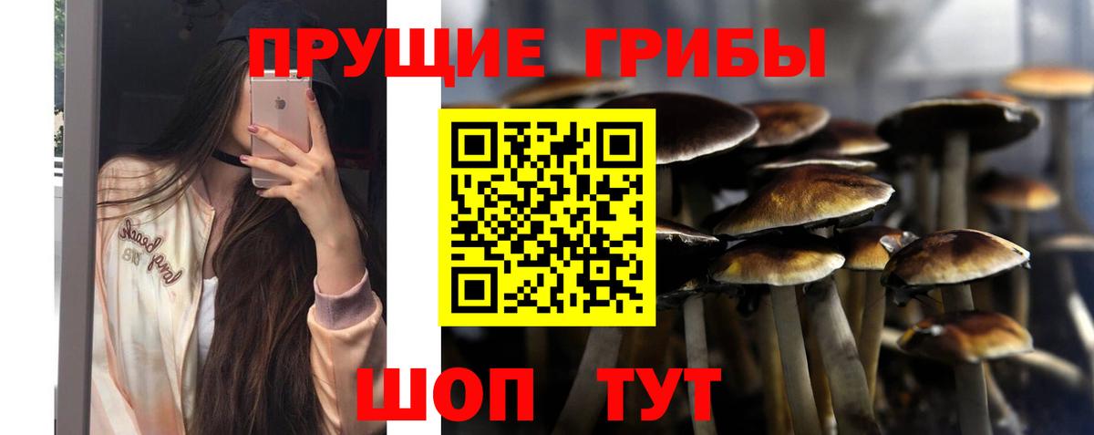 Электросталь  Псилоцибиновые грибы мицелий  Вход с VPN 
